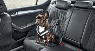 http://www.auto55.be