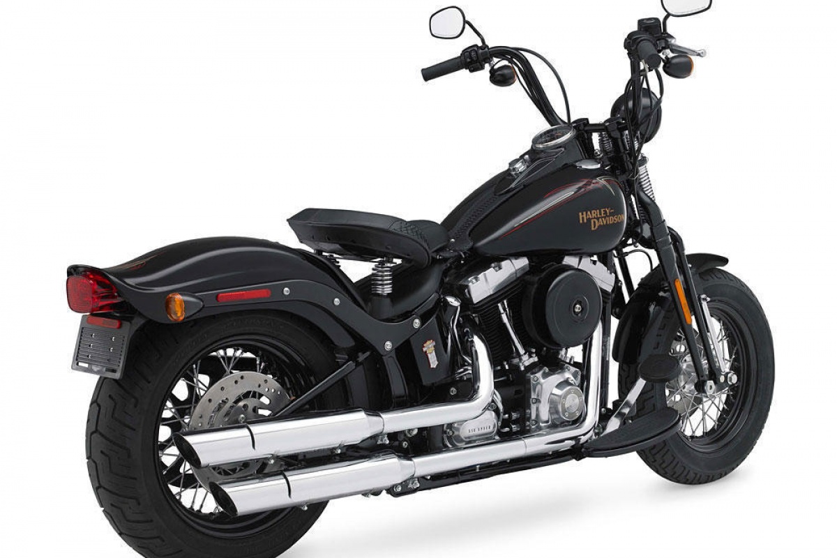 Harley-Davidson Crossbones