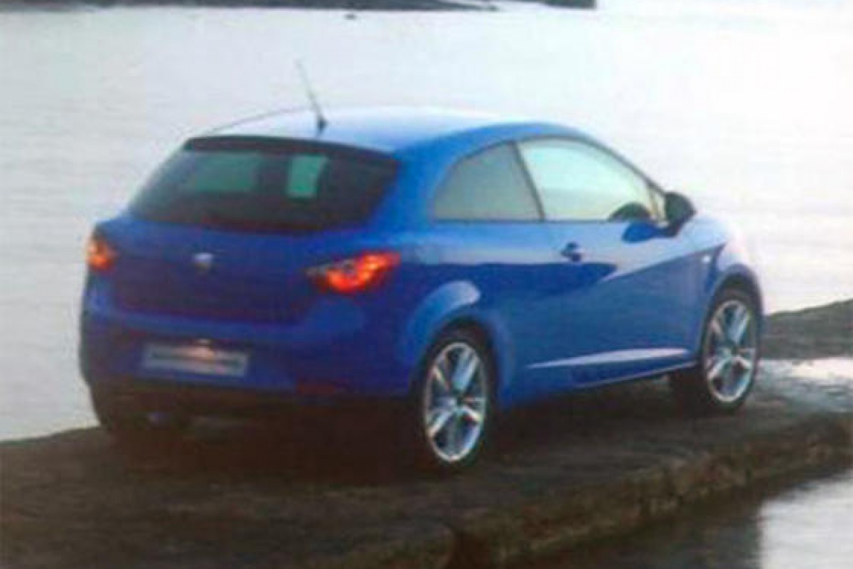 Driedeurs Seat Ibiza is los