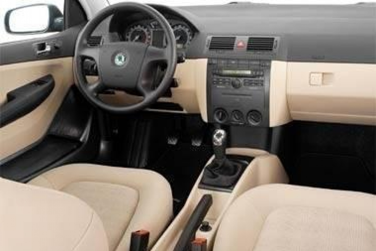 Skoda Fabia Frisser