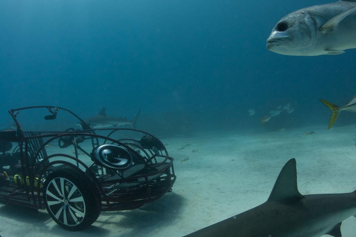 VW Beetle Cabrio 'shark cage'