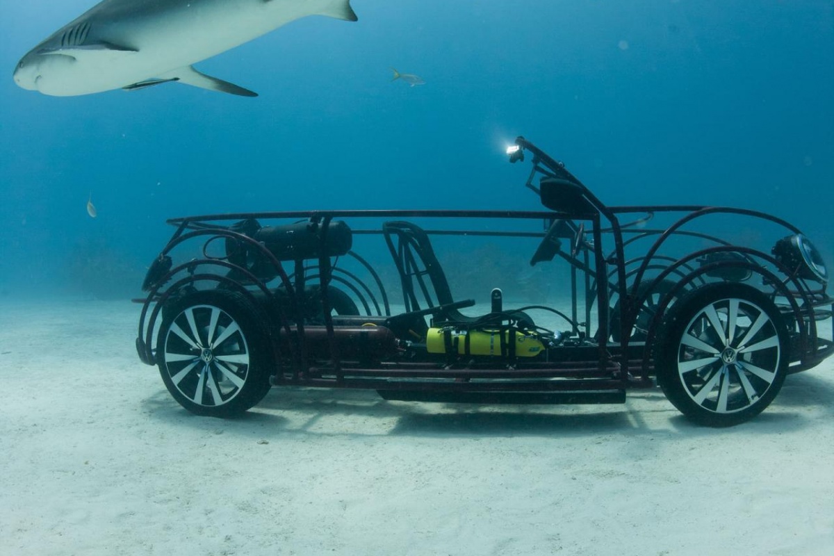 VW Beetle Cabrio als shark cage