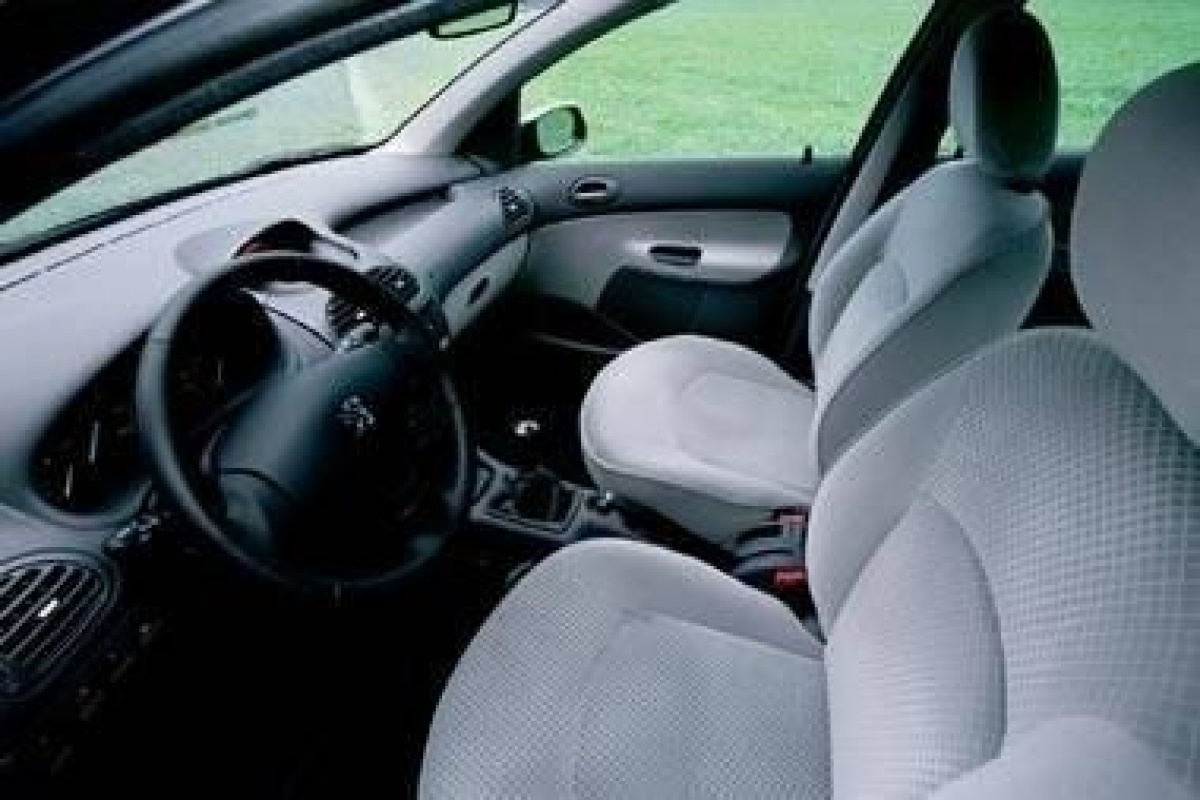 Peugeot 206 aanpassingen 2004