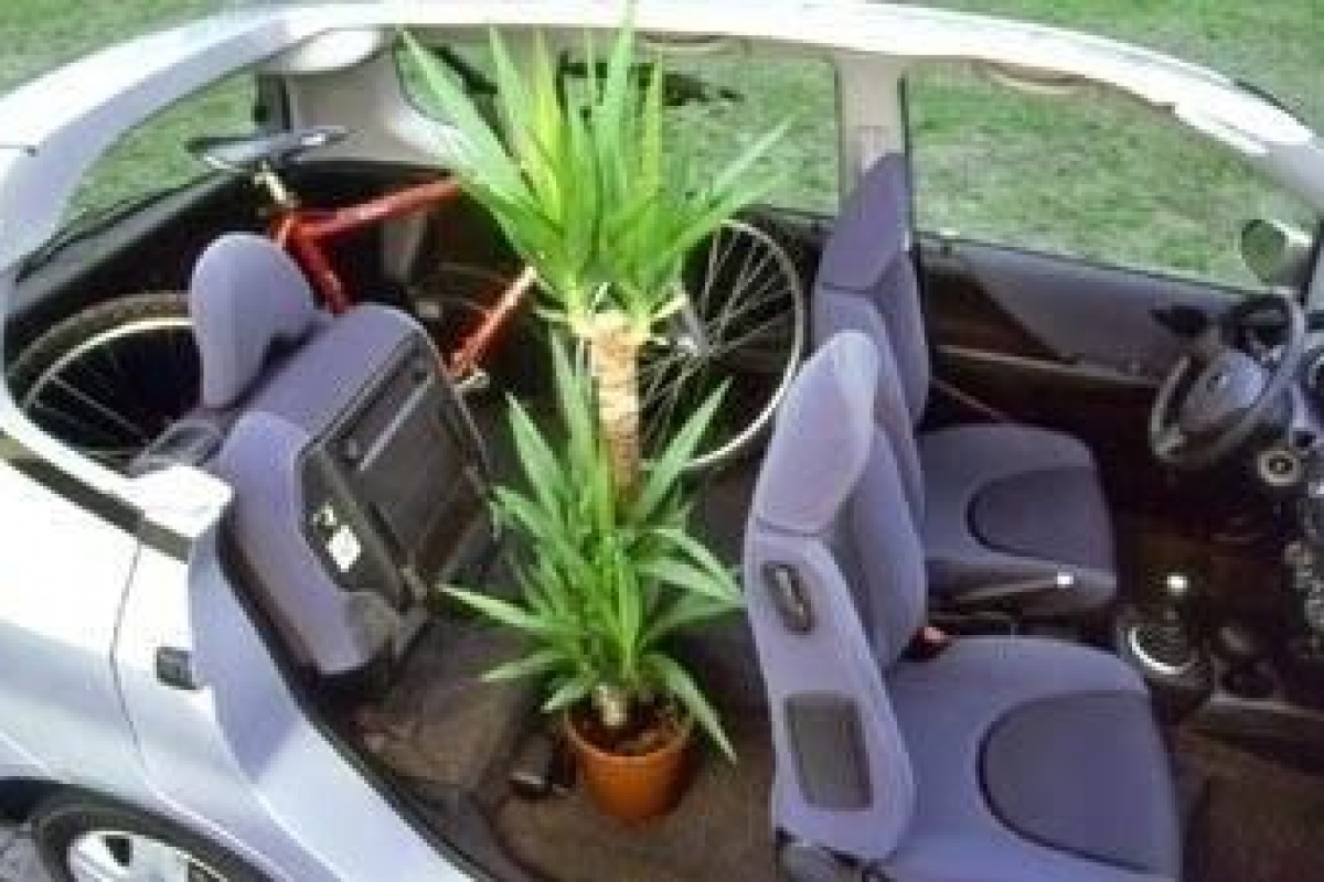 Honda Jazz in detail